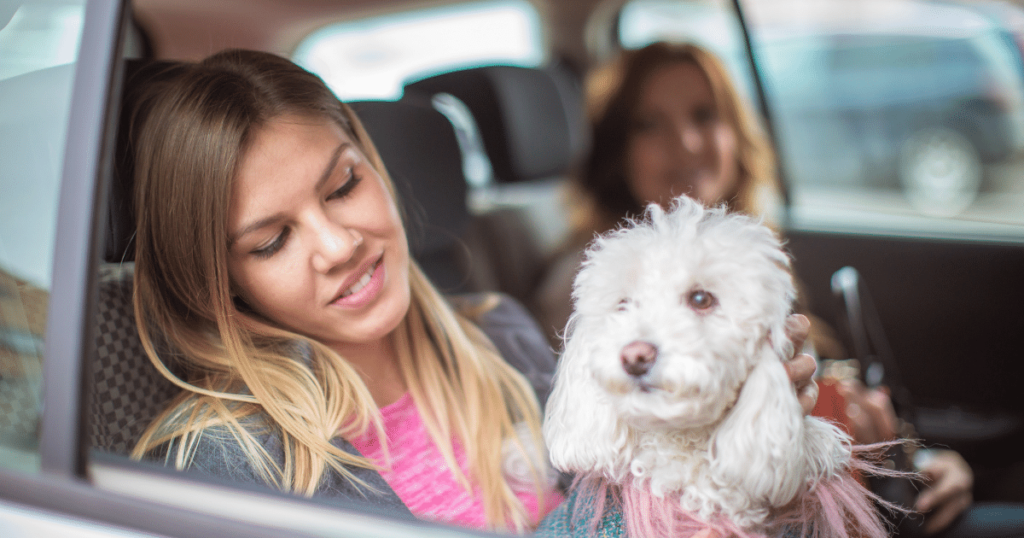 Taxi Phnom Penh to Poipet: Safe, Reliable, and Affordable Transportation. We are avaialble anytime anywhere for your need.