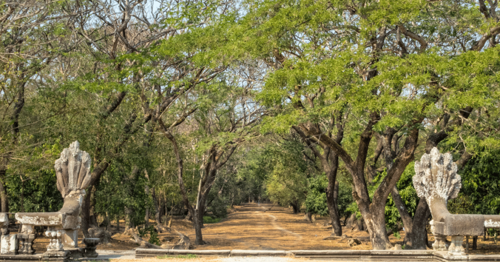 Taxi Kep Siem Reap, we prioritize your safety and ensure a reliable service. Our team of experienced drivers is well-trained and knowledgeable about the roads in and around Siem Reap. They are committed to providing you with a comfortable and secure journey from start to finish.